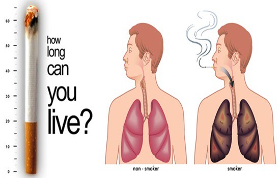 Những cơ quan bị tổn thương bởi thuốc lá ngoài phổi