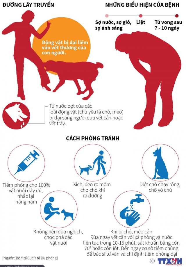 Ngành y tế khuyến cáo tăng cường công tác phòng, chống bệnh dại trên người