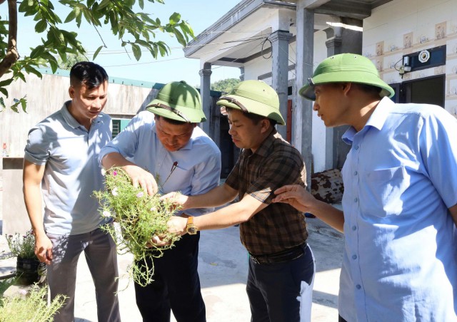 Xuất hiện ổ dịch sốt xuất huyết đầu tiên tại Hà Tĩnh