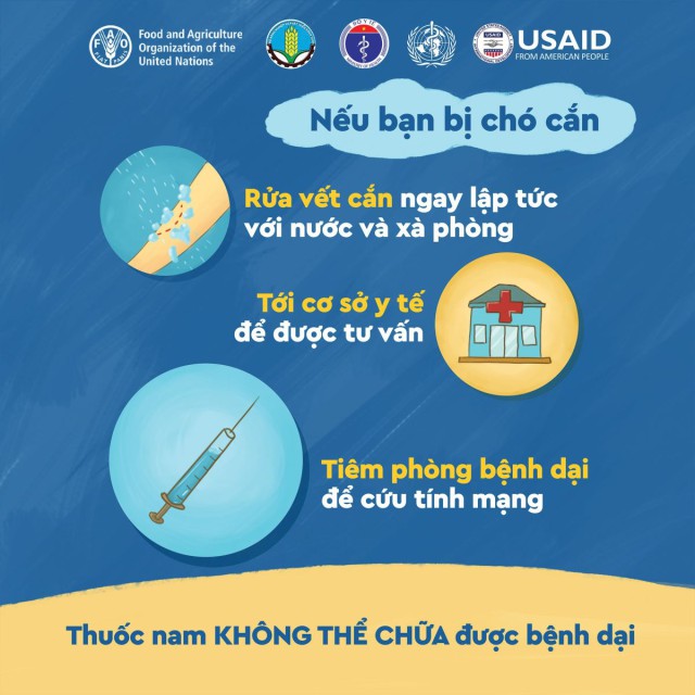 Hà Tĩnh tăng cường các giải pháp phòng, chống bệnh Dại