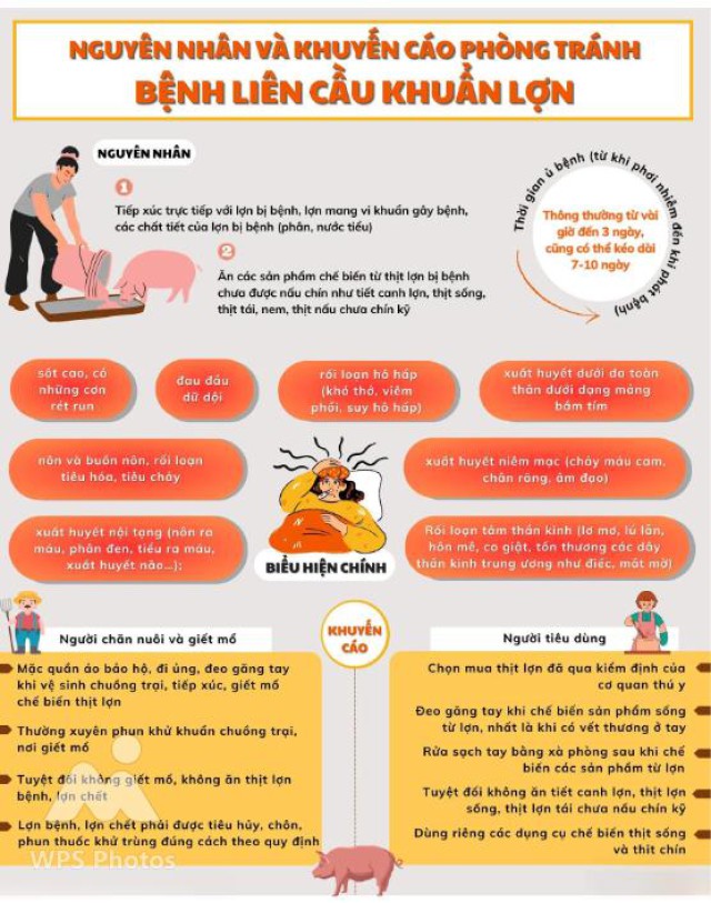 Ngành Y tế khuyến cáo thay đổi thói quen ăn uống để phòng bệnh liên cầu lợn