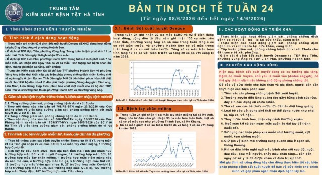 BÁO CÁO BẢN TIN DỊCH TỄ TUẦN 24 (Từ ngày 08/6/2026 đến hết ngày 14/6/2026)