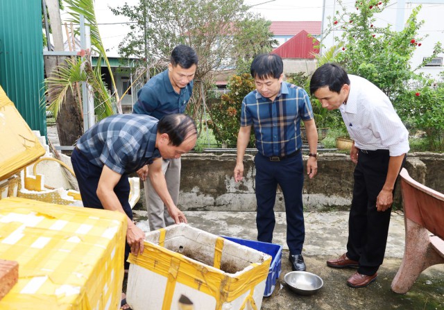 Phát hiện ổ dịch sốt xuất huyết với 9 ca mắc tại xã Cẩm Trung