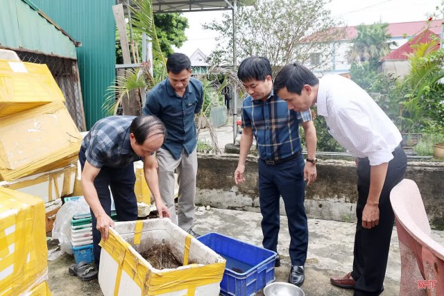 Tập trung khống chế 3 ổ dịch xuất huyết trên địa bàn Hà Tĩnh
